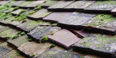 Tirymynach roof repair costs